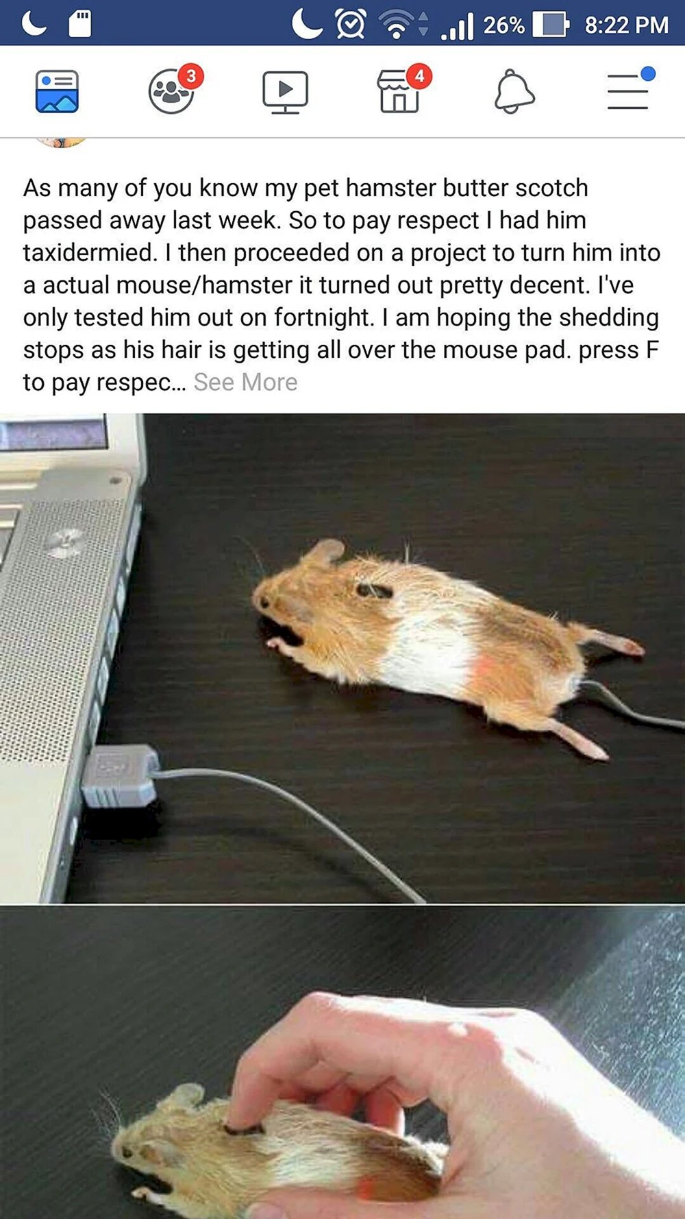 Прикольная компьютерная мышь