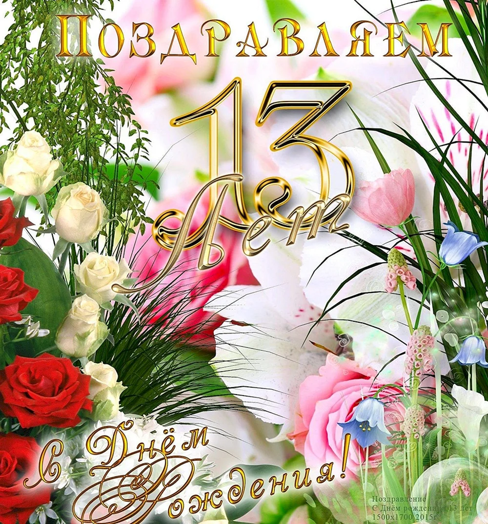 С днем рождения 13 лет