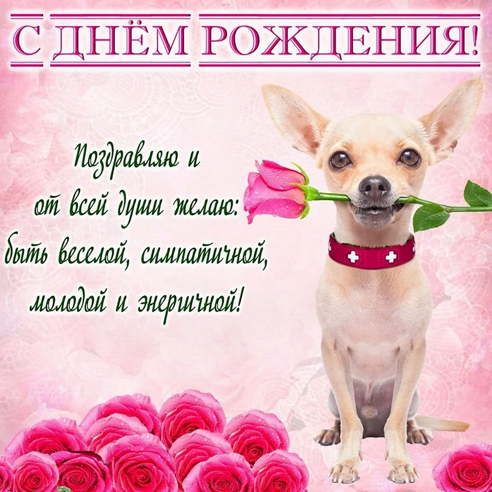 Поздравления с Днем рождения женщине (стихи, проза, прикольные) - витамин-п-байкальский.рф