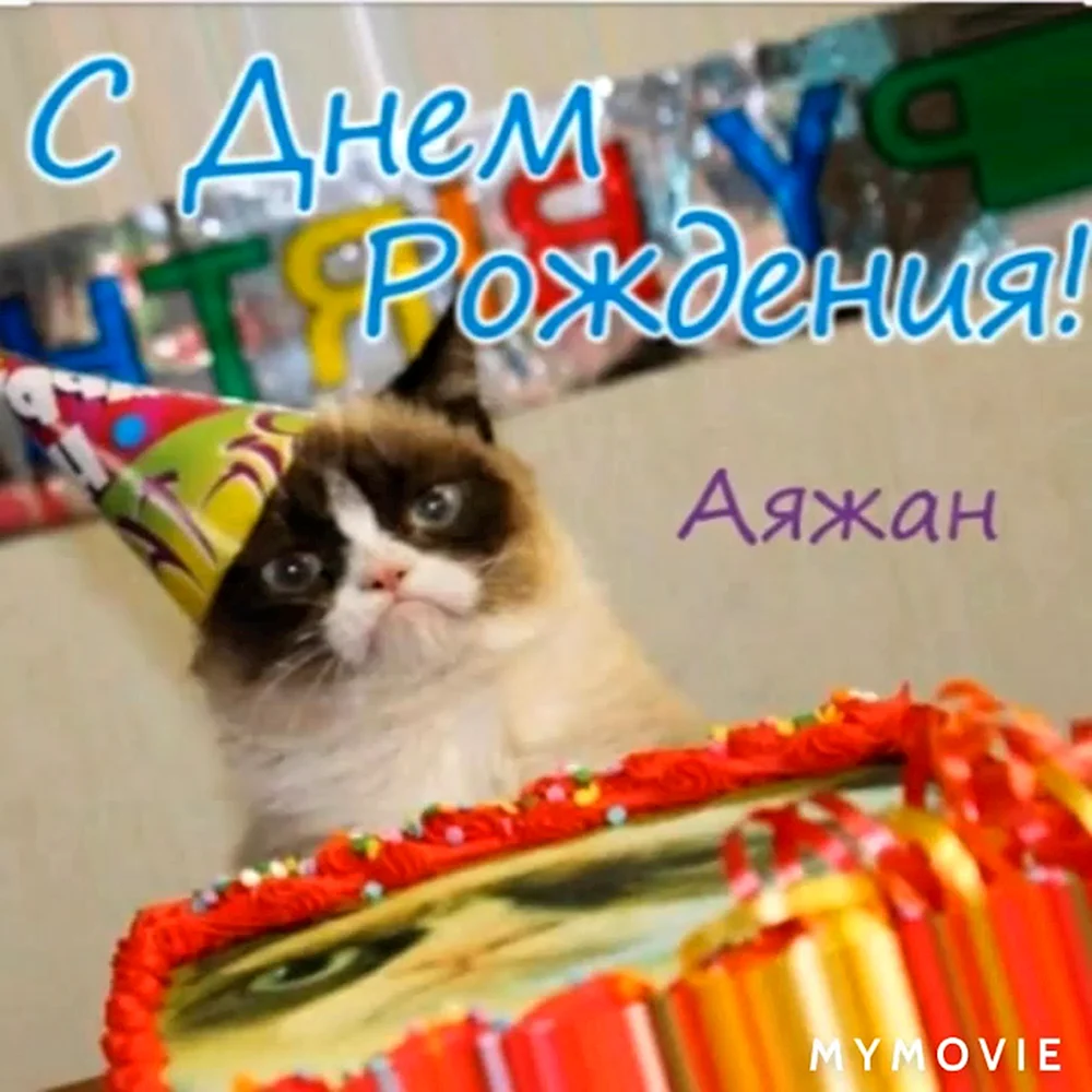 С днем рождения Ян