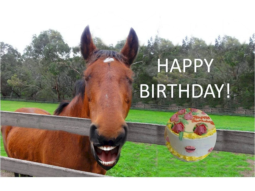 С днем рождения конь