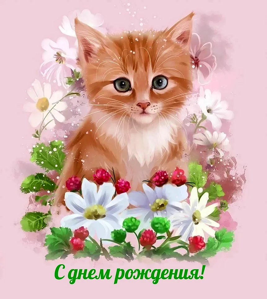 С днем рождения котенок с цветами