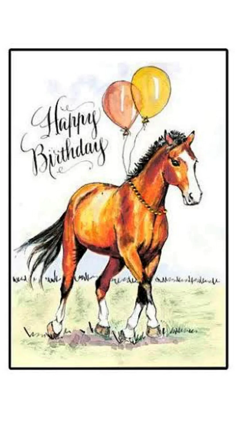 красивые открытки с лошадью