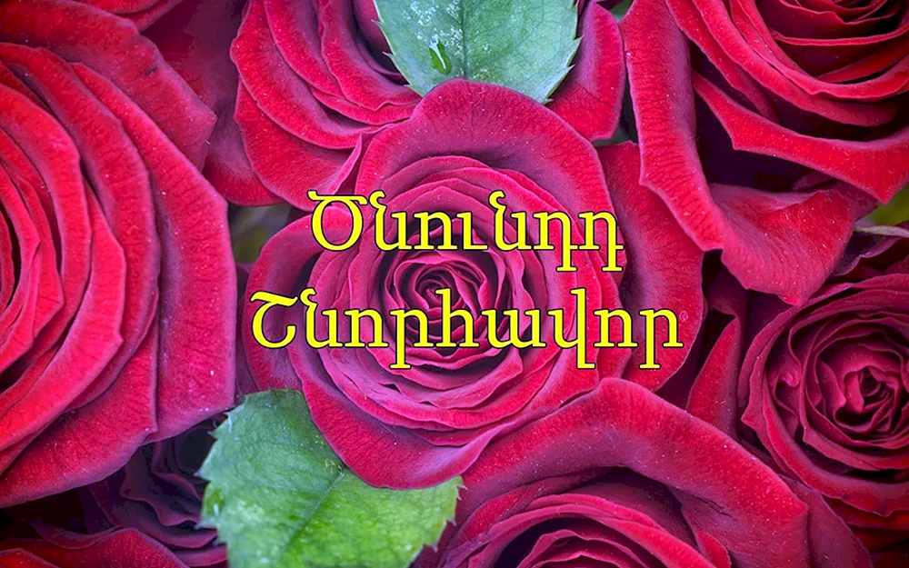 Поздравления и пожелания на армянском языке | OpenTran - Онлайн-переводчик & словарь | OpenTran