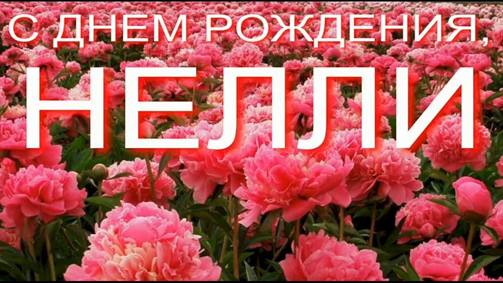 С днём рождения Нелли