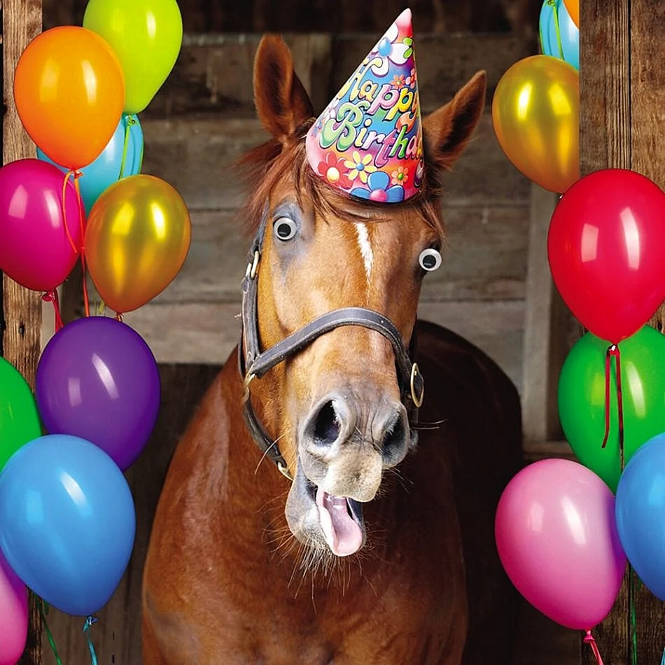 Открытка с лошадьми на день рождения (скачать бесплатно)