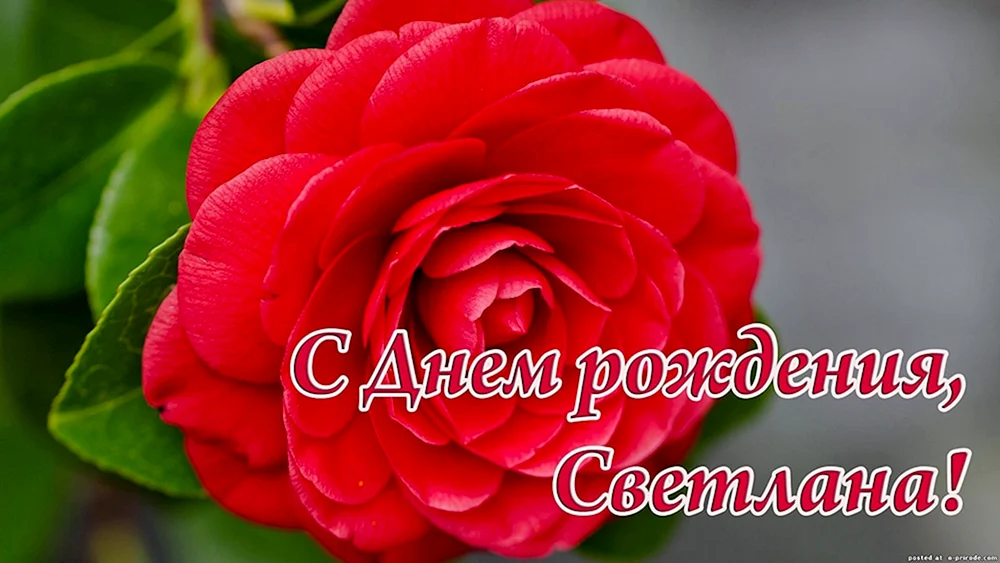 С днем рождения Светланка