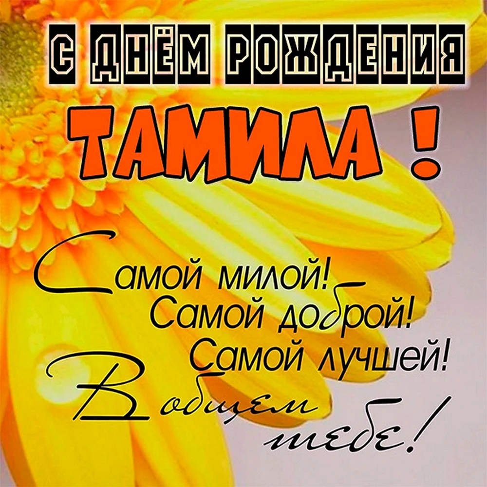 С Днем Рождения Тамила.