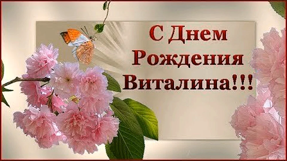 Открытка с днем рождения вита