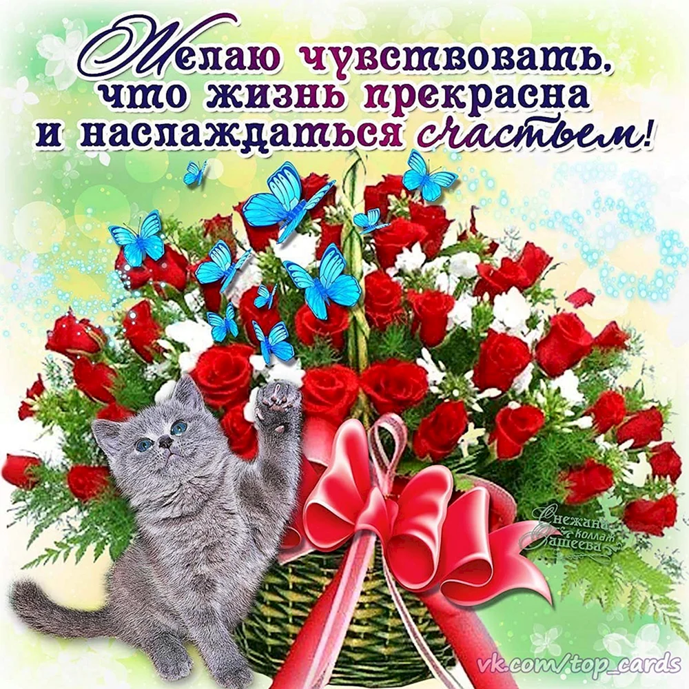 Снежана Гашеева открытки с днем рождения