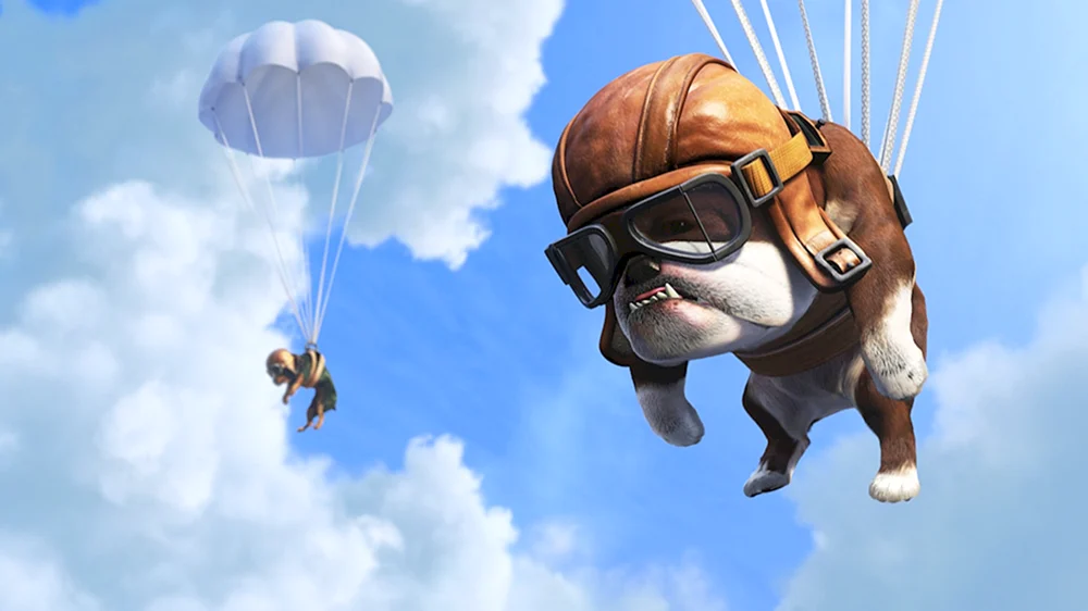 Собака на парашюте