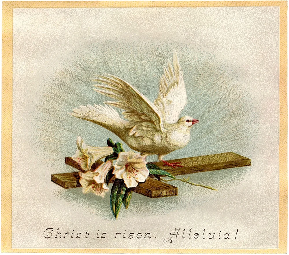 Старинные открытки с голубями