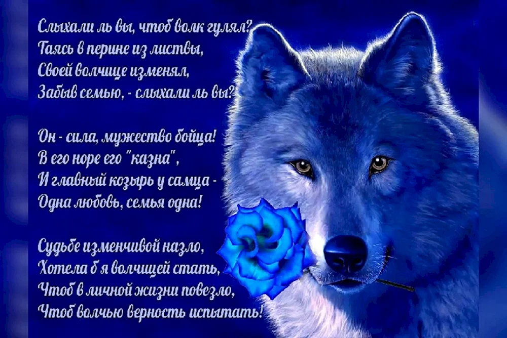 Стих про волка