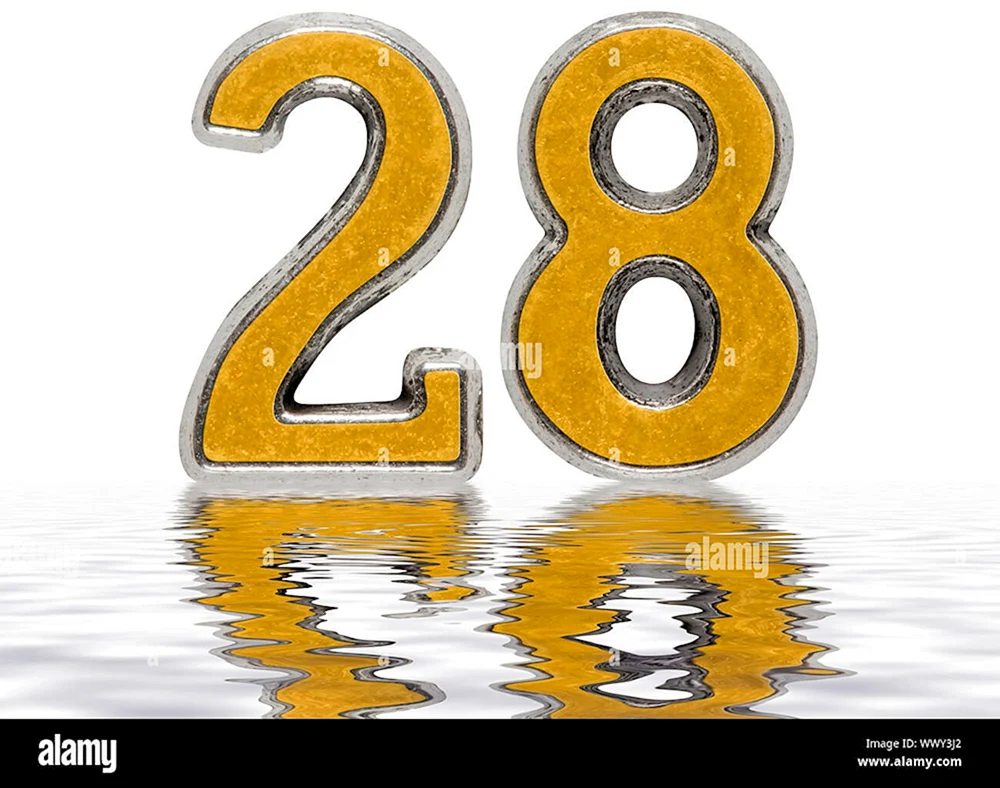 Цифра 28