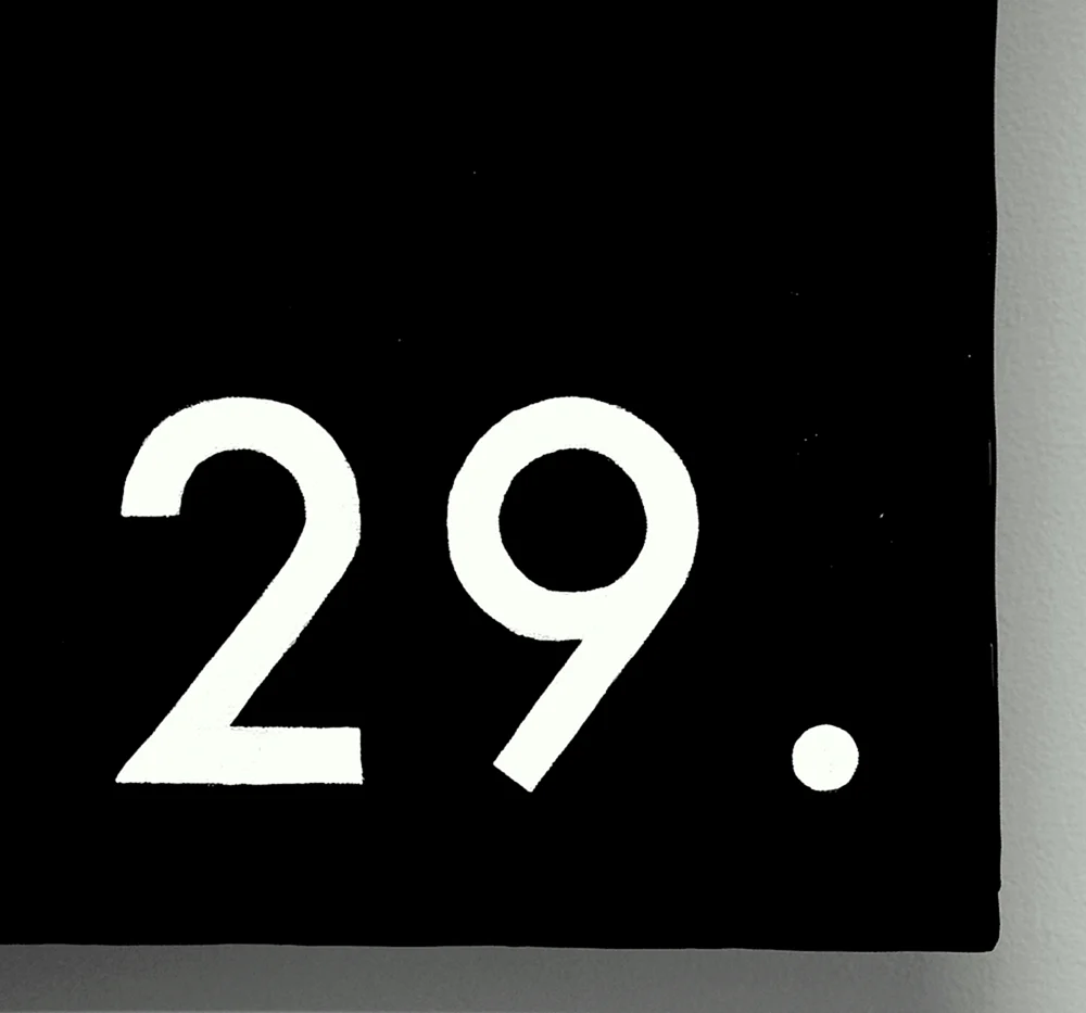 Цифра 29