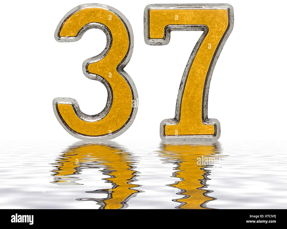 Цифра 37