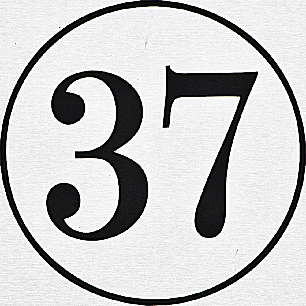Цифра 37