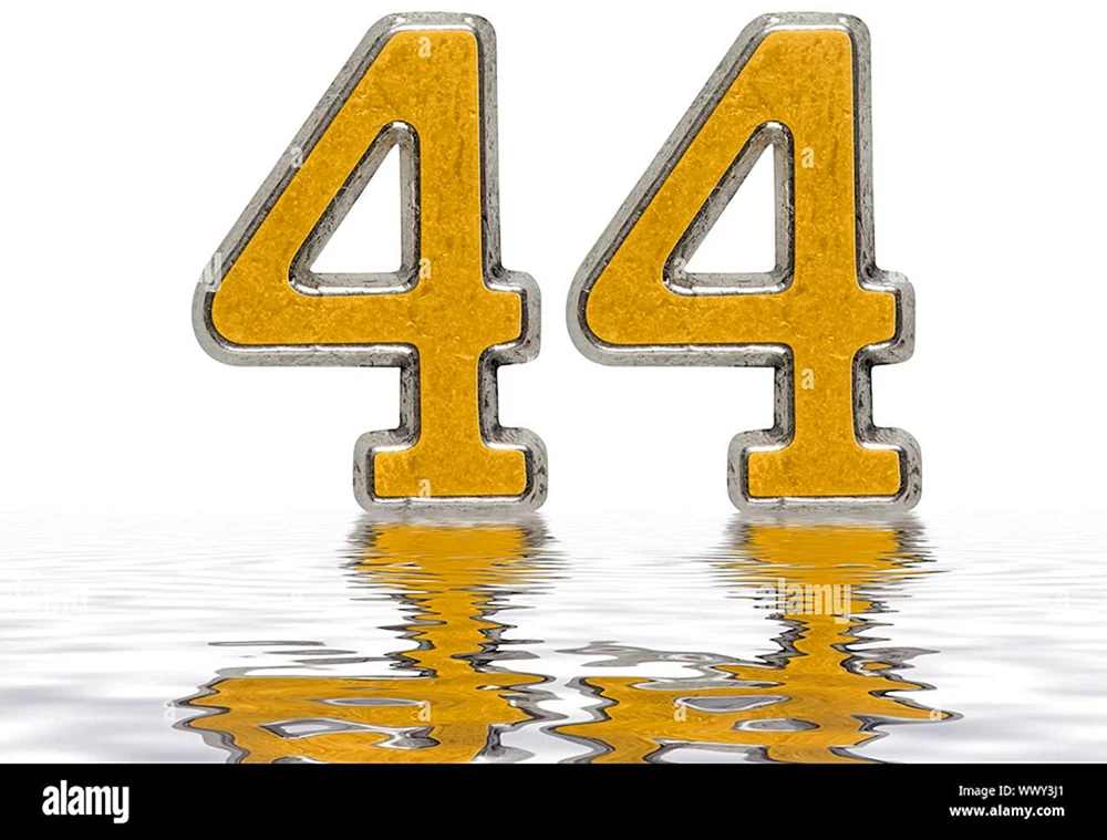 Цифра 44