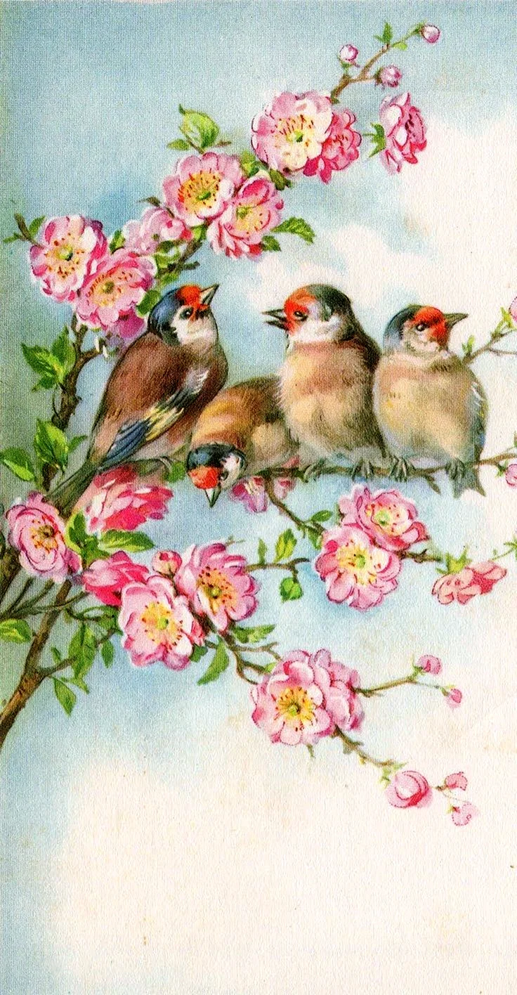 Цветы птицы Винтаж