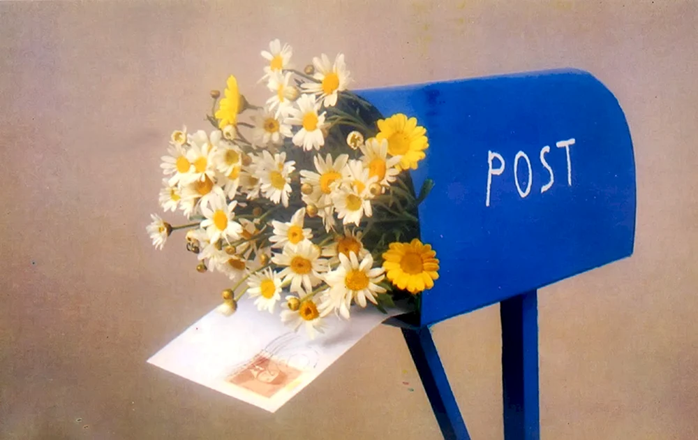 Цветы в почтовом ящике