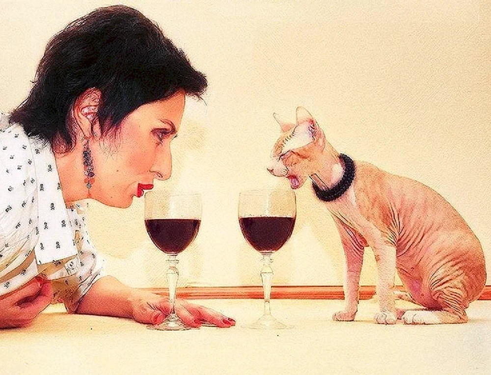 Женщина пьет с котом